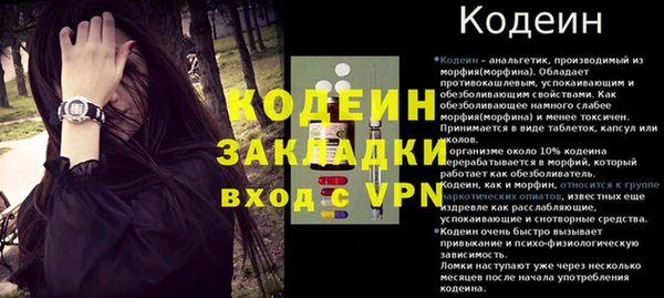 прущие грибы Баксан