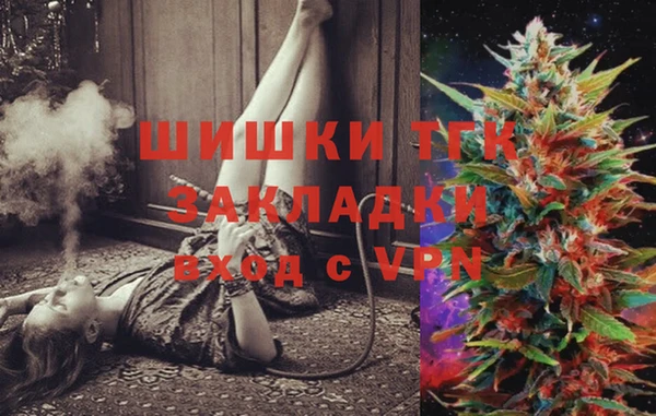 дживик Арсеньев