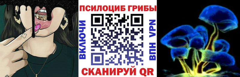 где найти наркотики  Урус-Мартан  Галлюциногенные грибы Magic Shrooms 